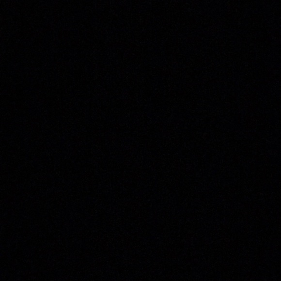 Meet your Posher, Hattie - Picture 1 of 1